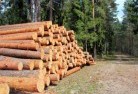 Clairviewtree-felling-services-31.jpg; ?>